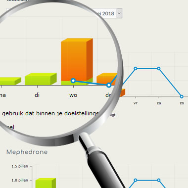 demo begeleiding